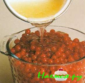 Пирог с красной смородиной (4 порции) Пирог с красной смородиной (4 порции)