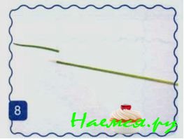 Каллы Каллы