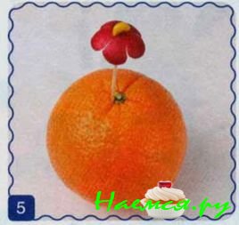 Маргаритки Маргаритки