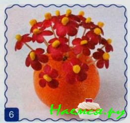 Маргаритки Маргаритки