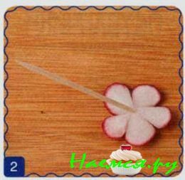 Маргаритки Маргаритки