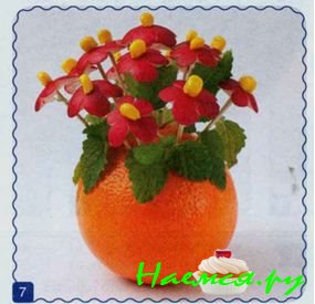 Маргаритки Маргаритки