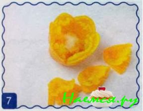 Пионы Пионы