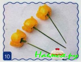 Пионы Пионы