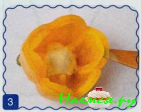 Пионы Пионы