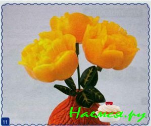 Пионы Пионы