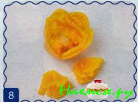 Пионы Пионы