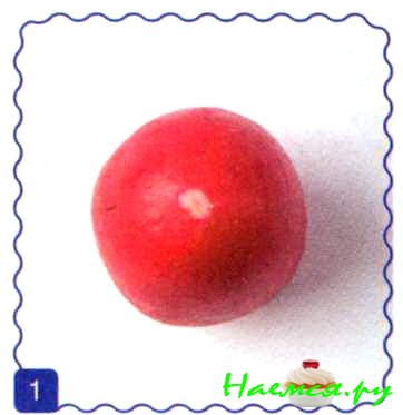 Тюльпаны Тюльпаны