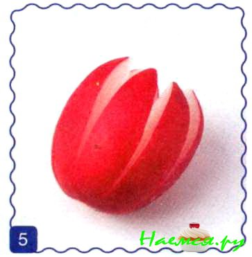 Тюльпаны Тюльпаны