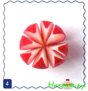 Тюльпаны Тюльпаны