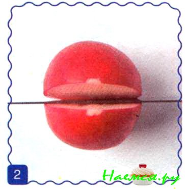 Тюльпаны Тюльпаны