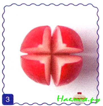 Тюльпаны Тюльпаны