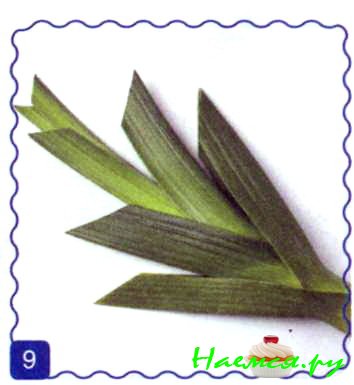 Тюльпаны Тюльпаны