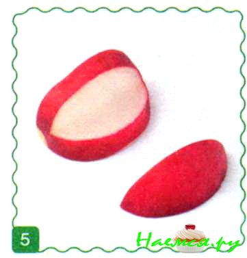 Белочка Белочка