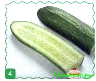 Дракон Дракон