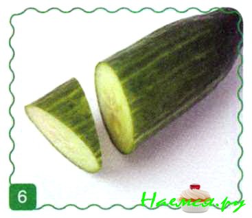 Мамонт Мамонт