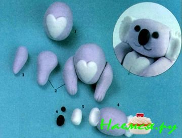 Коала Коала