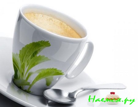 Стевия - заменитель сахару Стевия - заменитель сахару