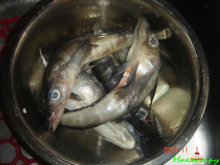 Просто рыба Просто рыба