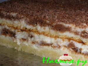 Торт "Птичье молоко" - вкусный праздник Торт "Птичье молоко" - вкусный праздник