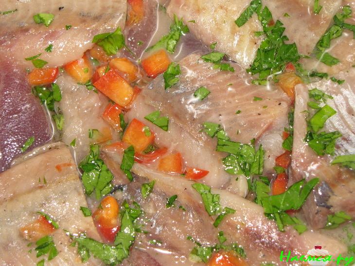 Сельдь "Алтайская" Сельдь "Алтайская"