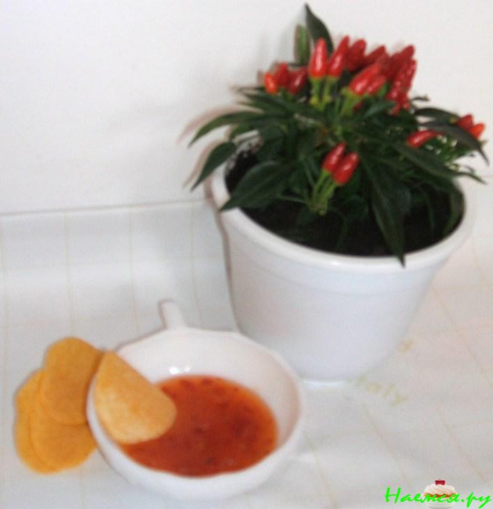 Дип-соус "Kiss of salsa"&nbsp; 