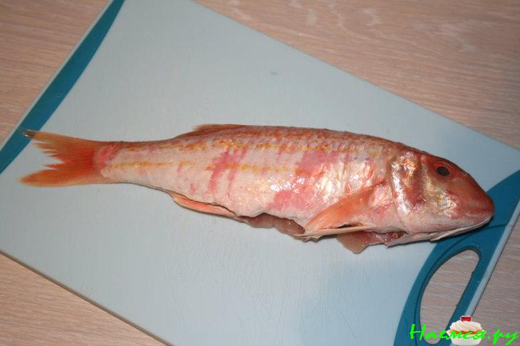 Барабулька Барабулька