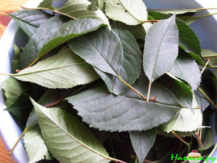 Сироп 'вишнёвый' из черноплодной рябины /аронии/