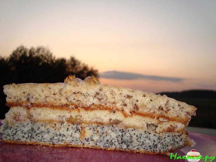 Торт 'Праздничный' с орехами, маком и изюмом Торт 'Праздничный' с орехами, маком и изюмом