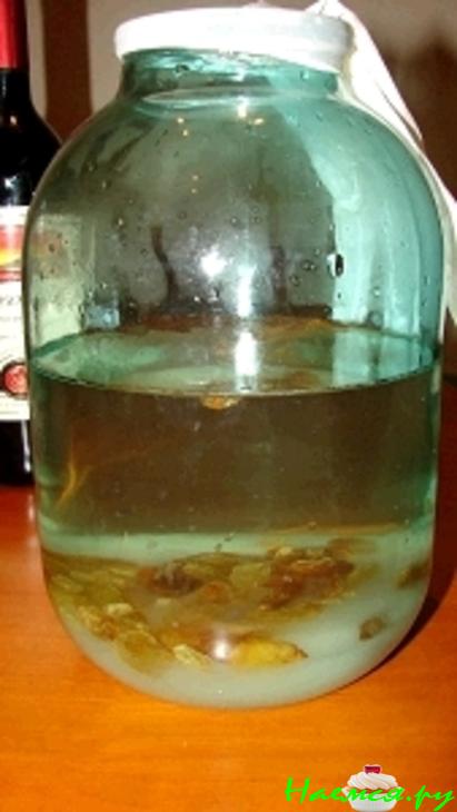 Домашнее вино Домашнее вино