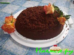 Шоколадный торт 'Норка крота'