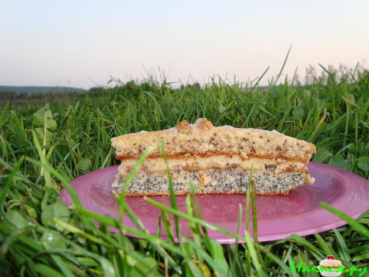 Торт 'Праздничный' с орехами, маком и изюмом Торт 'Праздничный' с орехами, маком и изюмом