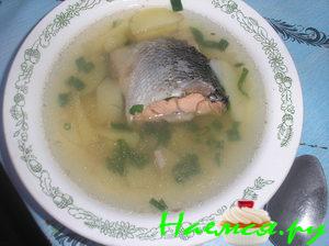 Уха из семги (вариант)