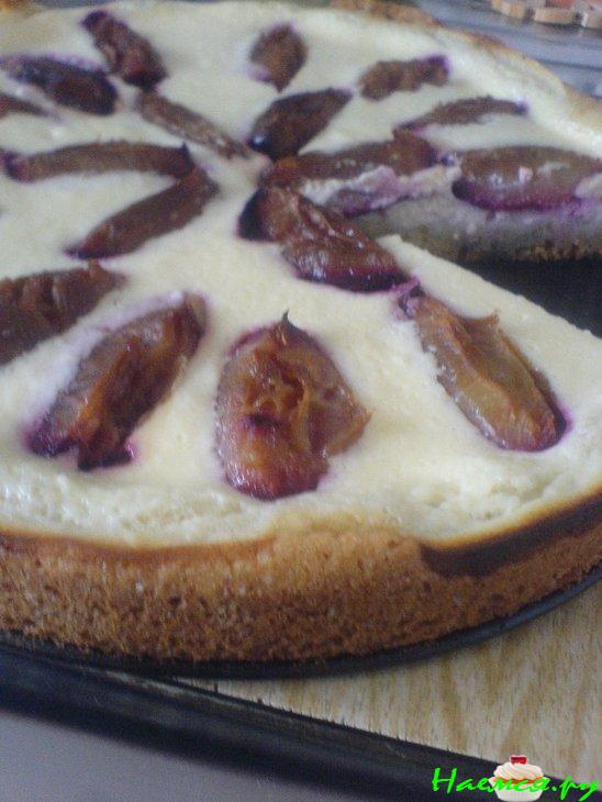 Творожный пирог со сливами