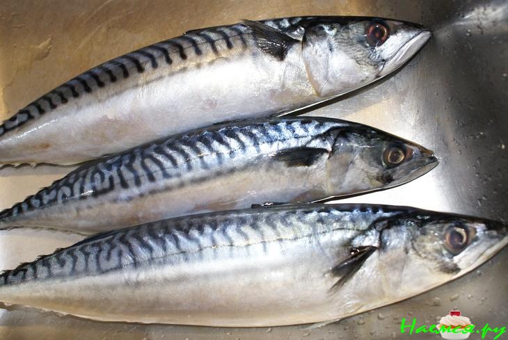 Скумбрия запечённая в пряно-кофейной посыпке