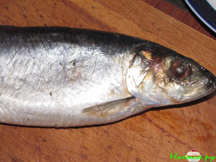 Сельдь "Алтайская" Сельдь "Алтайская"