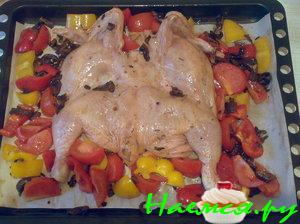 Курица с овощами и болгарским перцем Курица с овощами и болгарским перцем