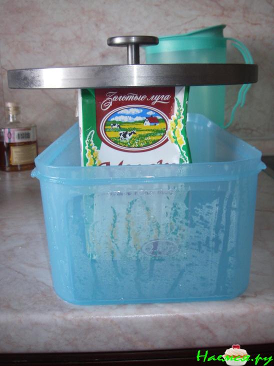 Соленая рыбка (семга)