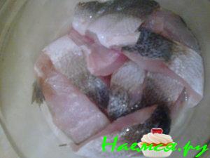 Соление рыбы /муксун, чир, нельма/