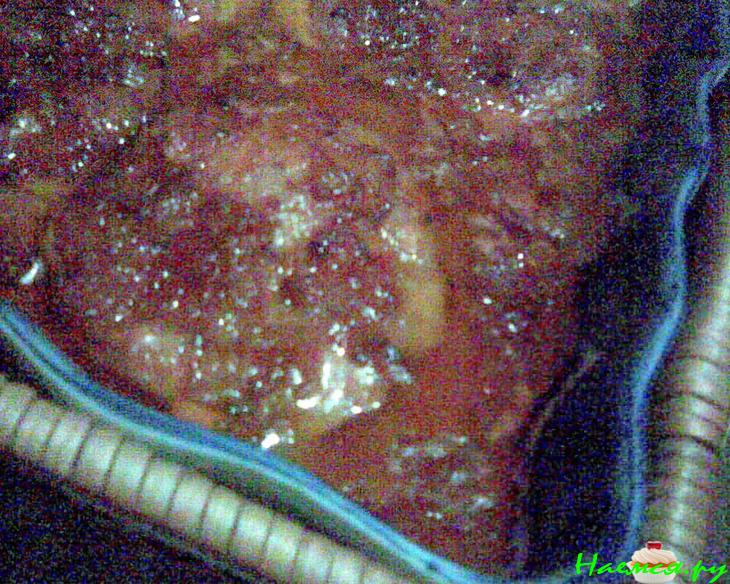 Бедрышки в пикантном соусе