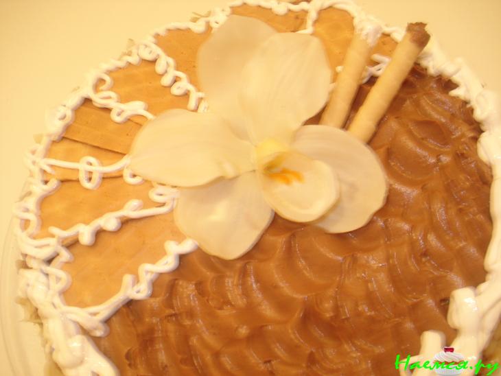 Торт безе шоколадный 'Татьянин день' Торт безе шоколадный 'Татьянин день'