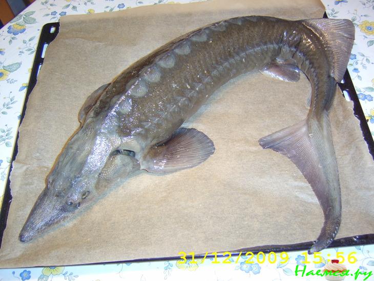 Осетр по-праздничному