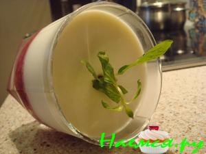 Панна котта