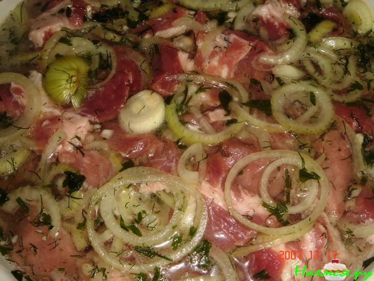 Шашлык из свинины и крылышек Шашлык из свинины и крылышек