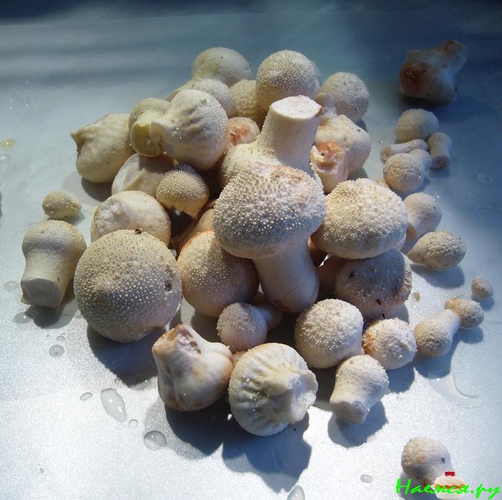 Суп с дождевиками и галушками