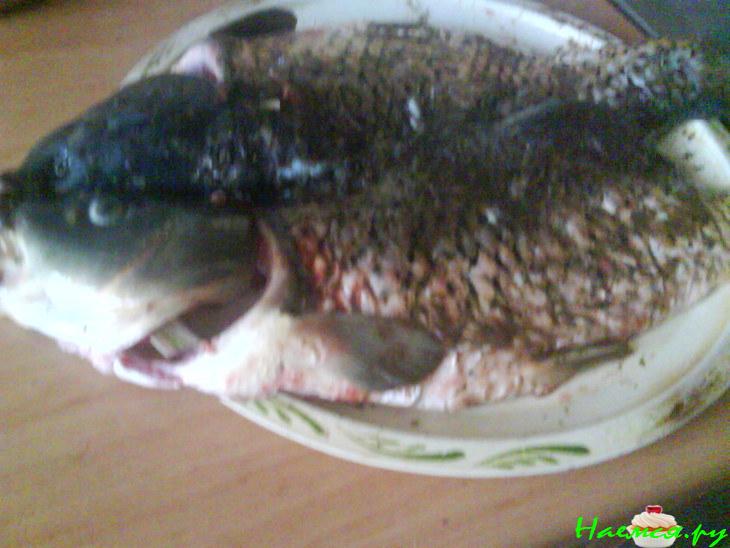 Карп "книжный" на подстилке из квашеной капусты