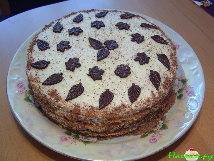 Торт 'Рыжая Галинка'