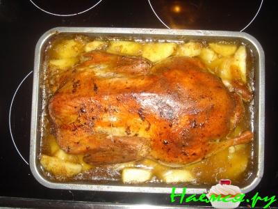 Утка с яблоками