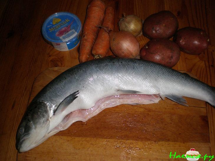 Сырный суп с красной рыбой, заодно солим рыбку