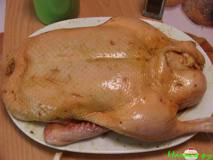 Утка-НеЗабудка